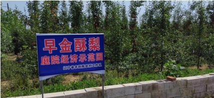 微信截图_20230612071618.jpg